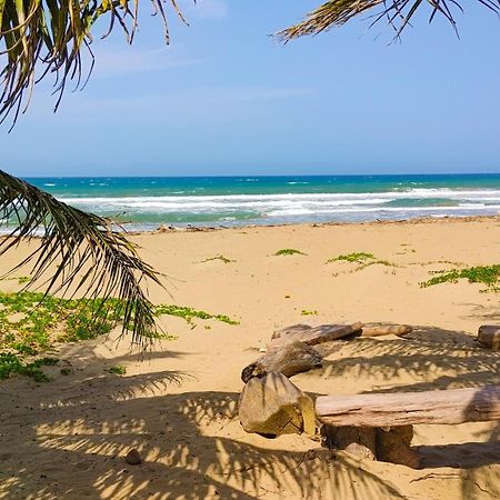 فيلا Brisa Atlantico - Secluded Beach La Pina المظهر الخارجي الصورة