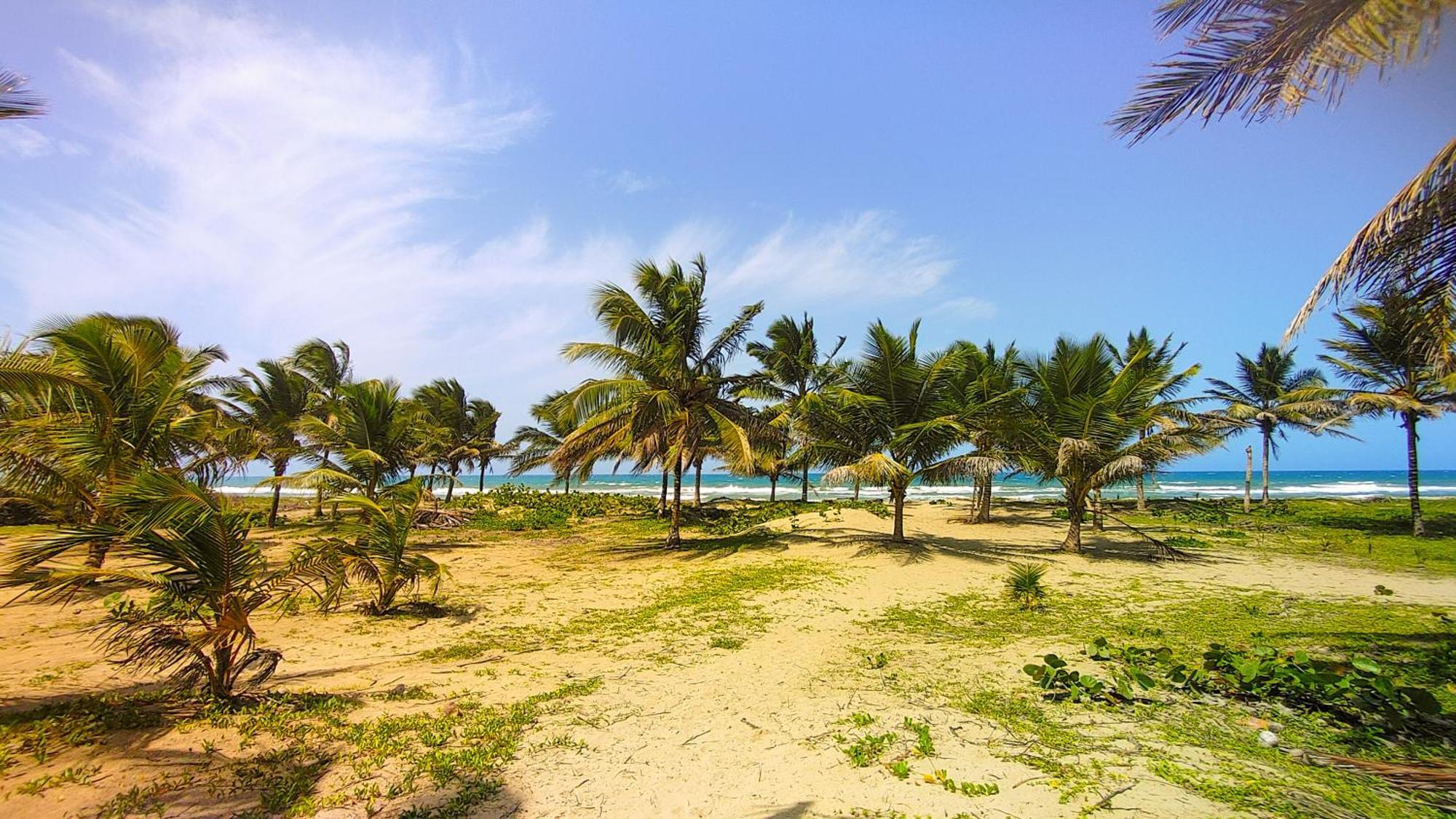 فيلا Brisa Atlantico - Secluded Beach La Pina المظهر الخارجي الصورة